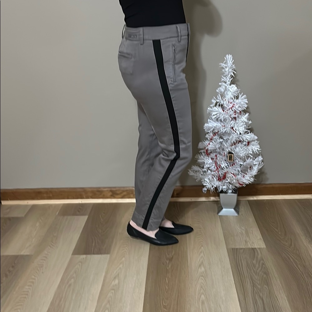 Level 99 - Gray Pants with Black Stripe